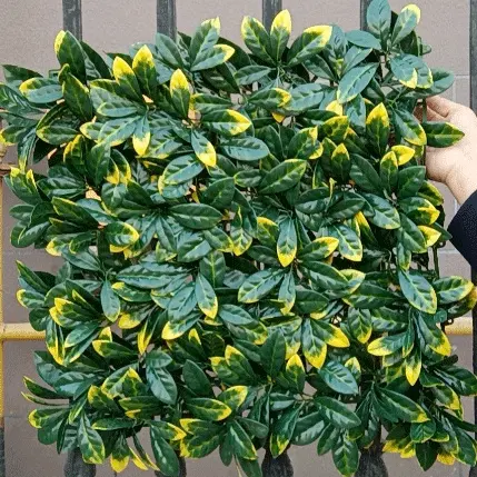 Artificial Plant Wall - Artificial Hedge Plant, Greenery Panels Suitable For Both Outdoor Or Indoor Use, Garden, Backyard Andor Home Decorations – Deyuan detail pictures