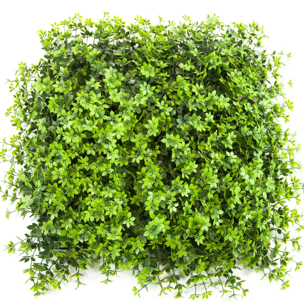 Artificial Plant Wall Vertical Garden Plastic Plant 20inch Hedge Wall Boxwood Hedge Panel Home Decoration Featured Image