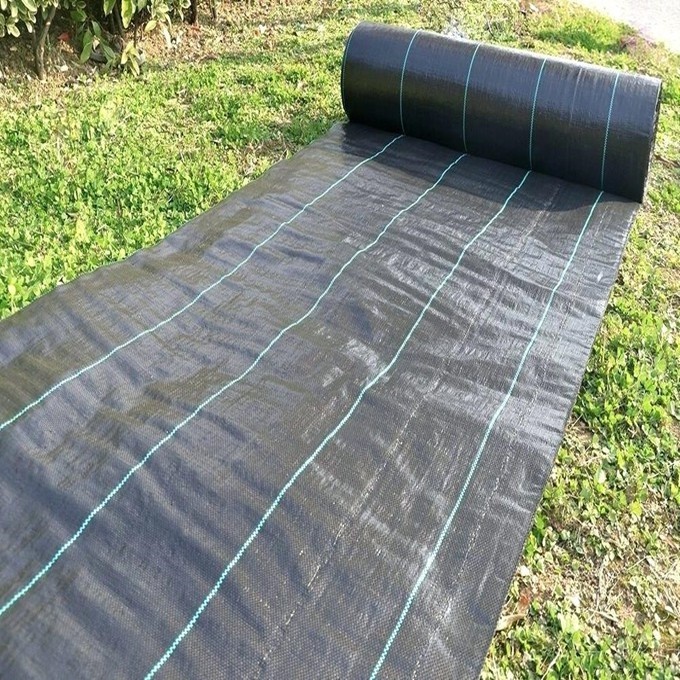 Artificial Grass Wall - grass prevention Black and Green PP woven fabric weed mat – Deyuan detail pictures